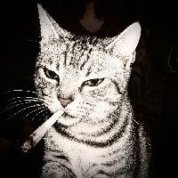 𝒟𝓻𝒶𝒢𝑜🔥