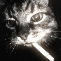 𝒟𝓻𝒶𝒢𝑜🔥