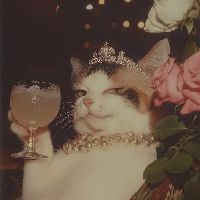 🐱 Кошка 🐱