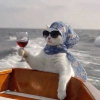 Нуриддин-Гиппократ