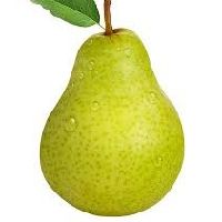 ★•¢нιρ•★