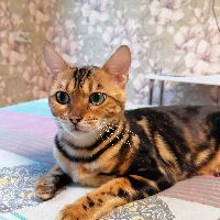 🤗Барбариска🤗