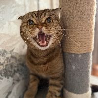 🇷🇺🦅ЯсТрЕб🦅🇷🇺