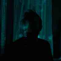 ბატონი მაქსი